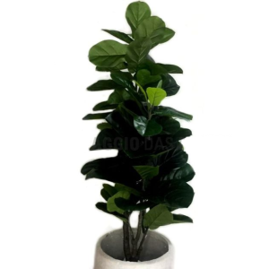 áRVORE LD0129 FICUS LYRATA 180CM