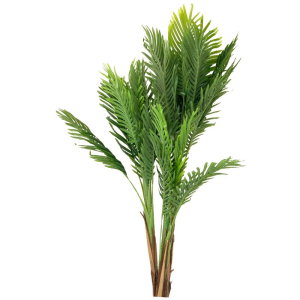 ÁRVORE AV-0002M PALMEIRA ARECA MED.